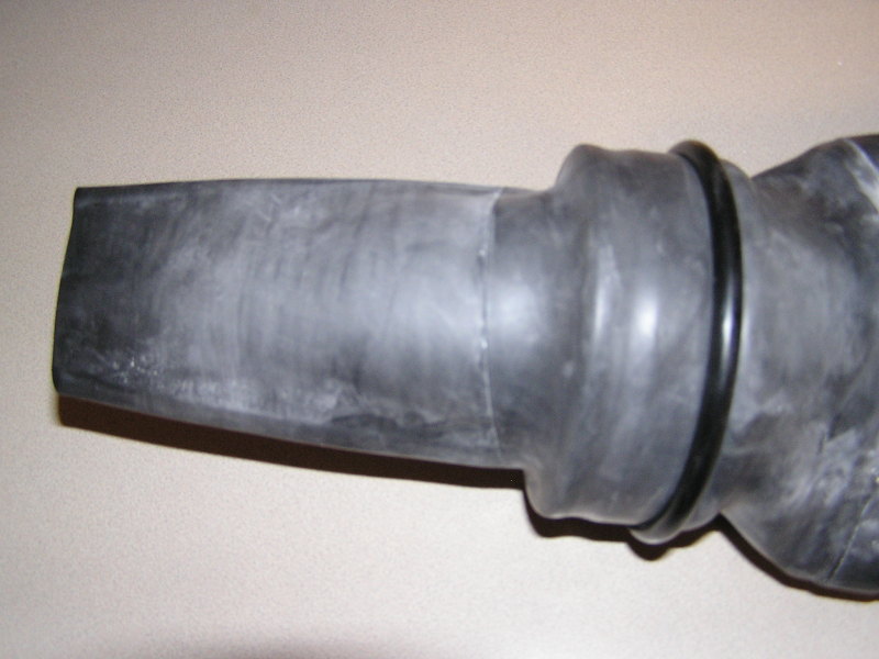 DGo-ringOVERseal.jpg